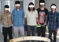 शीतल निवासबाट चोरी भएका हात्तीका दाह्रासहित पाँच जना पक्राउ