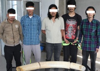 शीतल निवासबाट चोरी भएका हात्तीका दाह्रासहित पाँच जना पक्राउ