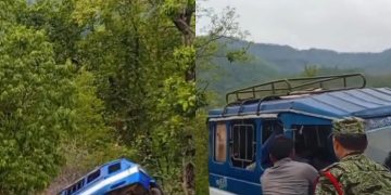 वर्षौंको पसिना भिरमा फालियो : वन कर्मचारीको निर्मम कदमले धनादेवीको सहारै चकनाचुर