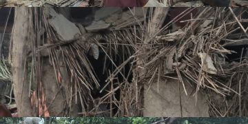 जंगली हात्तीको आक्रमणबाट झिलमिलामा कच्ची घरमा क्षतिग्रस्त