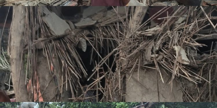 जंगली हात्तीको आक्रमणबाट झिलमिलामा कच्ची घरमा क्षतिग्रस्त