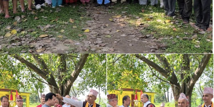 देउवा पक्षीय कांग्रेस बेलडाँडी-२ को वडा सभापतिमा धामी सर्वसम्मत