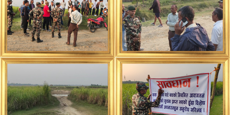 बेलडाँडीमा बस्ती नजिकै पाटेबाघ देखिएपछि सुरक्षा निकाय अलर्ट, ड्रोनबाट खोजी गर्दा पनि फेला परेन