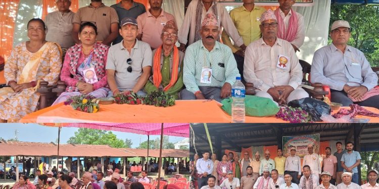उखु उत्पादक किसान हकहित संरक्षण समितिको अध्यक्षमा पुनः हरि चन्द ठकुरी