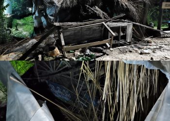 बेलडाँडीमा हात्तीको ताण्डव रोकिएन, क्याम्पमा भट्टको पसल भत्कायो