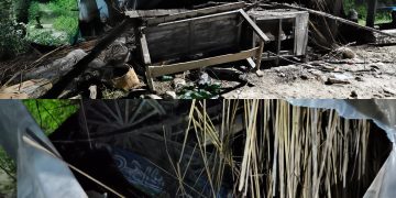 बेलडाँडीमा हात्तीको ताण्डव रोकिएन, क्याम्पमा भट्टको पसल भत्कायो
